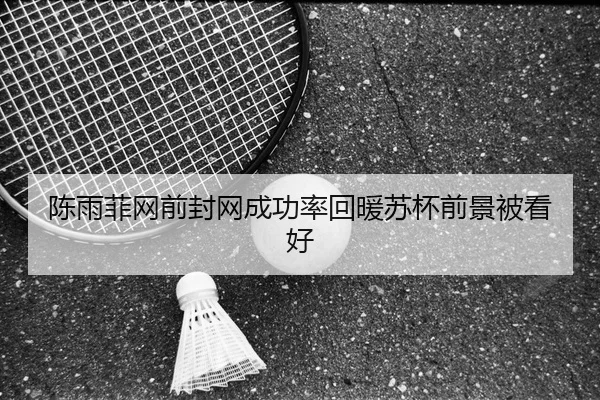 陈雨菲网前封网成功率回暖苏杯前景被看好